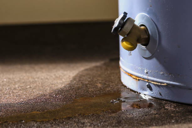  San Diego, CA Water damage restoration Pros