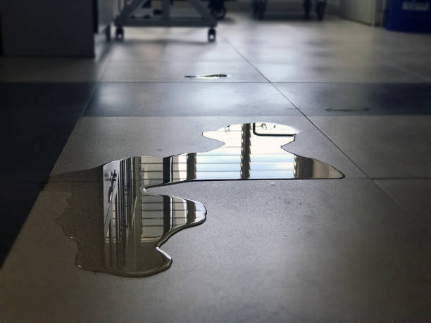 Best Water damage restoration near me  in San Diego, CA