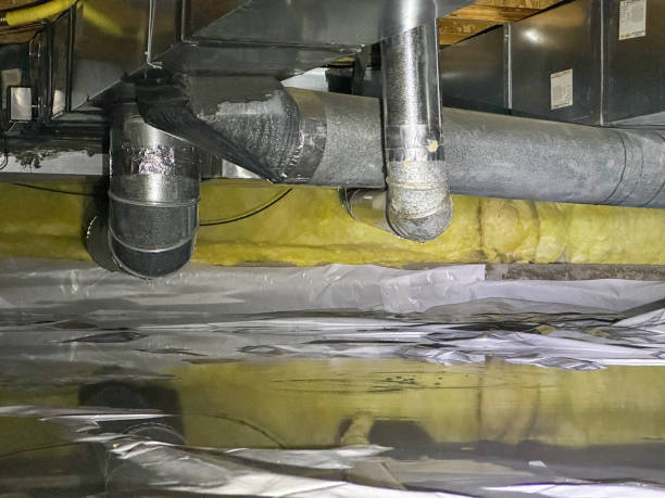 Best 24-hour water damage restoration  in San Diego, CA